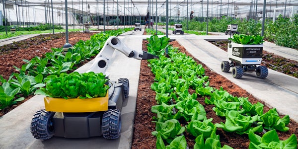 robot transporting vegetation